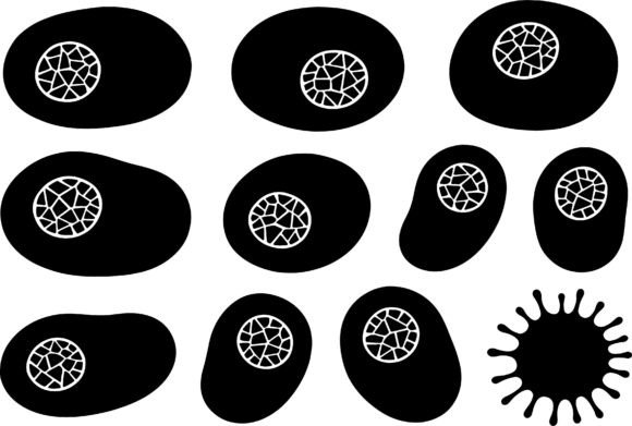 Download Abstract Organic Shapes Black White - Abstract Collection