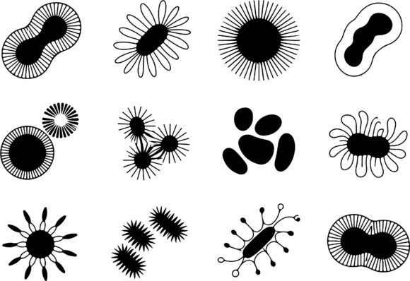 Download Abstract Organic Shapes Clipart Vector - Abstract Collection