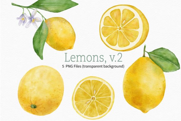 Download Lemon Watercolor Fruit Clipart Branch - Branch Collection